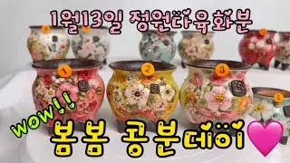 1월13일 드디어 기다리셨던 봄봄콩분데이 입니다🥰#정원다육화분 #봄봄화분#수제공방분 #콩분데이