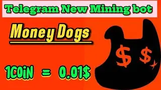 Money dogs Airdrop Details | Telegram new Mining Bot | Bigger Airdrop than Cats 🚨