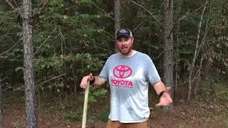 How to build a mineral site for deer
