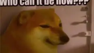 Who can it be now??? | Cheems Meme