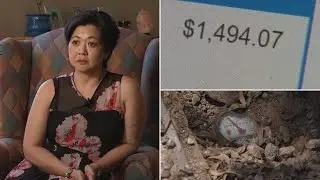 VIDEO: Anthem woman receives 'outrageous' water bill