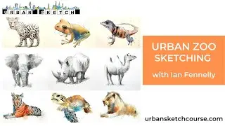 Urban Zoo Online Sketching Course with Ian Fennelly - Urban Sketch Course
