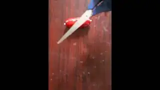Drool absolute treat for dogs