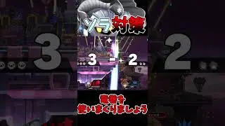 The strongest countermeasure against Sora