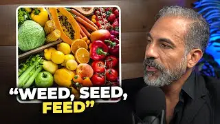 Dr. Vincent Pedre reveals how to REVERSE Leaky Gut