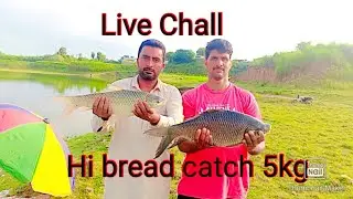 Letest Fishing Video 2025]5kg Hi Bread Mirghal Fish Catch Tow Part Shart time Safeershikari khanpur