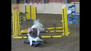 Horsecrash | H&auml;st g&aring;r omkull