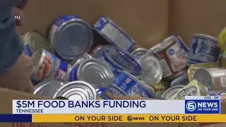 Governor Lee providing funding for food banks as SNAP benefits impacted by shutdown
