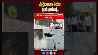 శ్రీశైలం జలాశయం ఫ్లంజ్ పూల్ సర్వే | Srisailam | Latest Update | Mahaa News