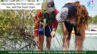 Adventure & Education Field Trip to the Mangroves by Indkarta