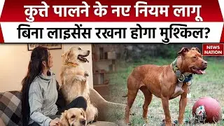 Dehradun Introduces Dog License By-Law:कुत्ते पालने के नए नियम लागू, बिना लाइसेंस रखना होगा मुश्किल?