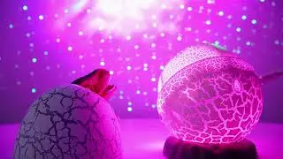 Dinosaur Egg Galaxy Star Projector