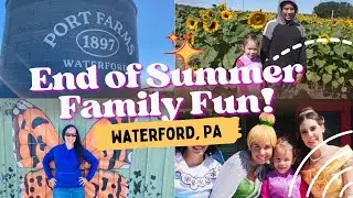 Is Port Farms Flower Festival Worth Visiting?