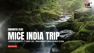Mice India Trip Introducation