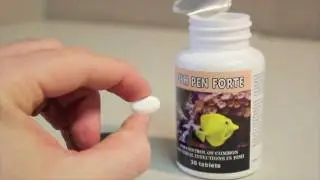 Fish Pen Forte Penicillin 500 mg Fish Antibiotic