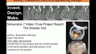 Samantha Stevens: The Sneaky Owl - Awesome Finish Prize Wineer (1st Place)