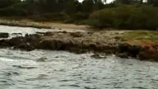 Es Carregador.wmv