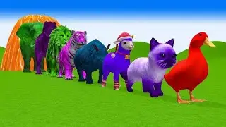 Paint & Animals Ducks,Gorilla,Cow,Lion,Elephant,Bear Fountain Crossing Transformation Animal Cartoon