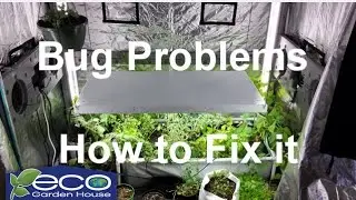 How to  fix a bug probelm  Eco Garden House Grow Indoors 247365 The Wisconsin Vegetable Gardener