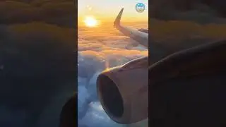 Spellbinding Beauty of an Aircraft Soaring Over The Clouds #AircraftView #AircraftBeauty #Aviation
