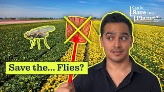 Why Pollinators Are Important To The Ecosystem