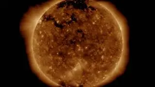 SDO | Data Daily Movies 240820