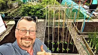 BUILD A CLIMBING FRENCH BEAN Trelis ~ With GURU MURPHINDA!!