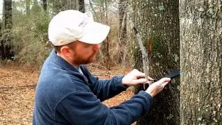 The Cam It&trade; Bow Hanger at Crane's Country Store