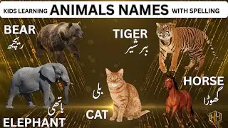 Animal Names With Picture and Their Spalling For Kids #learning #alphabet #hhkidsportal