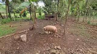 Otro video más para todos ustedes espero y lo disfruten