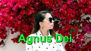 🌟 Agnus Dei - Aleluia (Portugu&ecirc;s) - Karaok&ecirc; Saxofone Soprano Instrumental Michael W. Smith V1