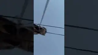 Cat walking on the tightrope#cat #shortvideo #funny #cute
