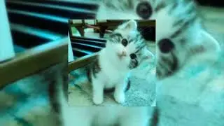 ♡ 