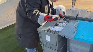 おやつの品定め