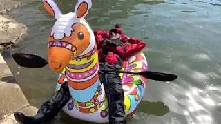 Adventures of The Llama and the Turtle on the Great Miami River
