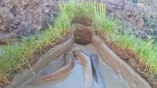 Amazing Easy Catfish Trap Unique Easy Fish Trap System