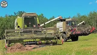 ŽNĚ 2019 / Žatva / Harvest - Sklizeň máku |Fortschritt E514 MDW & Fortschritt E514|