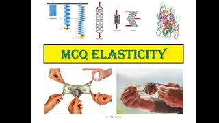Elasticity MCQ- ITI Workshop Calculation & Science Senior Lesson.