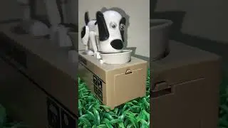 DOGGY eats my coin 🤣 #asmrsounds #youtubeshorts #toys #satisfying #viralshort #trending
