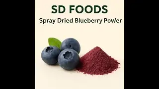 Spray Dried Blueberry Powder