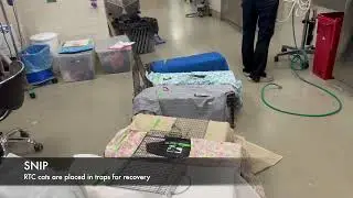 ShelterLearniverse Tour
