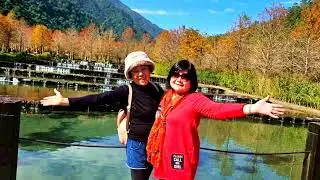 2026.01.15宜蘭三層坪遊記(落羽松秘境之旅)歌名:讓愛飛翔 豪記唱片群星演唱 編輯:晴光