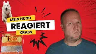 Die Wahrheit über Butternut Box: Mein Hund liebt den Adventskalender – lohnt sich der Futterwechsel?
