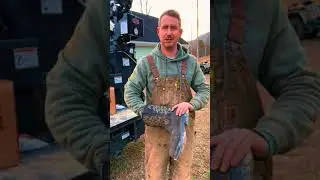 Lets try these new work boots out | Brunt Vastbinders