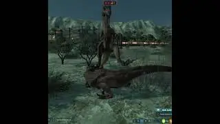 Raptor Rampage! Velociraptor Fight for Dominance 🦖🔥