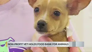 Non-profit veterinary clinic holds food bank for animals
