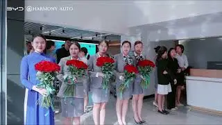 251125 BYD Harmony