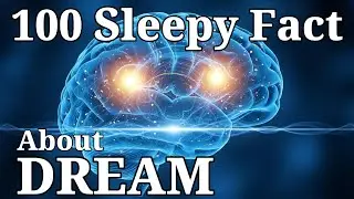 Why Your Brain Erases Dreams Every Night &mdash; Calm Sleep Science