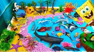 Meet Sea animals part 2- DIY Marine Diorama with Spongebob house-Learn animals names and about them