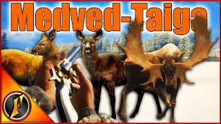 Hunting Musk Deer with the .45 | + How Good Is Medved for Moose Hunting?